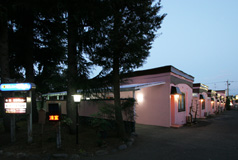 ニュ-ぼたんの画像