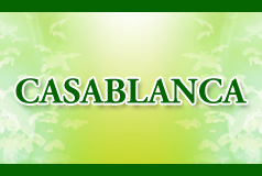 ホテル カサブランカの画像