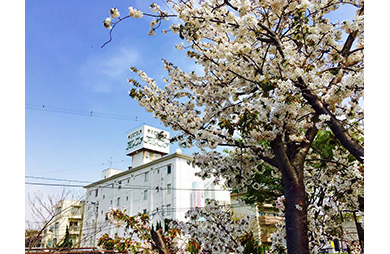  » エリア-市区町村 » 松戸市の画像