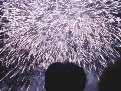 白浜海の祭典 納涼花火大会の画像