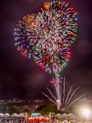 紀の川橋本 SUMMER BALLの画像