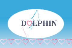 DOLPHINの画像